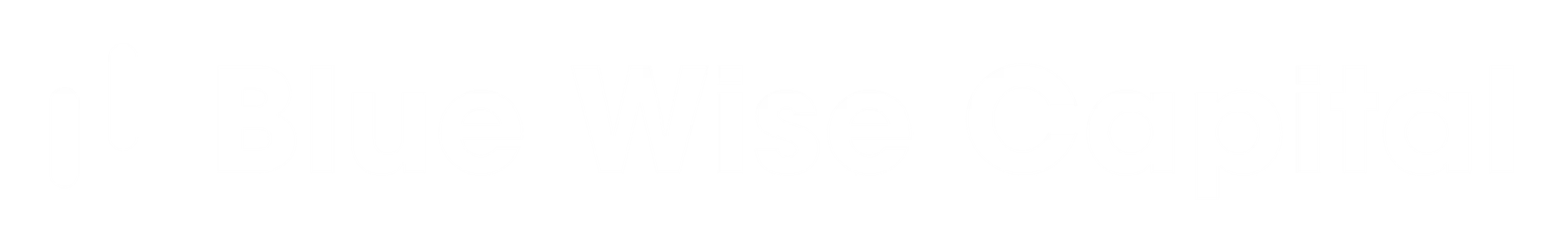 BlueWiseCapitalBlanco-01